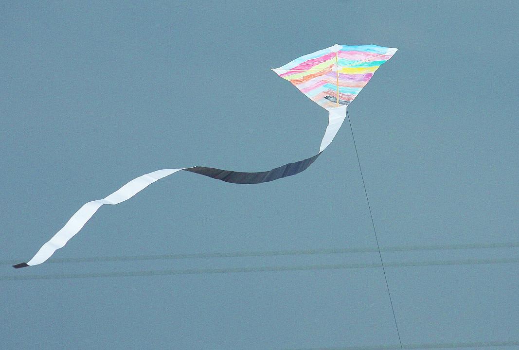 凧揚げ大会の画像
