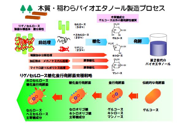 値下げセルロース系バイオエタノール製造技術―食料クライシス