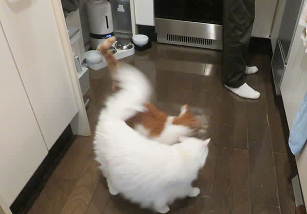 待ちきれないよ早く早く 川天使空間 待ちきれないよ早く早く 川天使空間