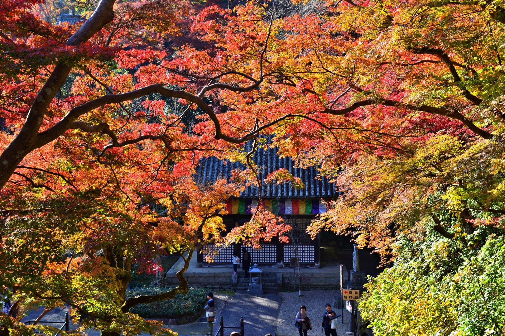 紅葉の長谷寺へ（奈良県桜井市） - 気ままに撮り歩き