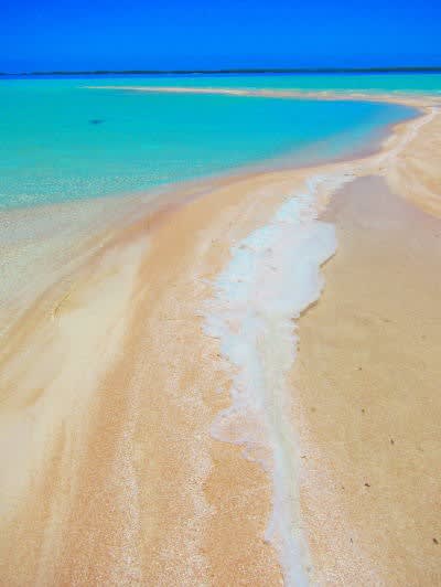 ピンクサンドビーチ ランギロア島 タヒチ モルディブ旅行専門店ブログ