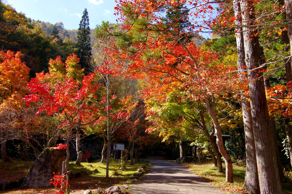 紅葉の宇津江四十八滝 串カツ子の旅日記