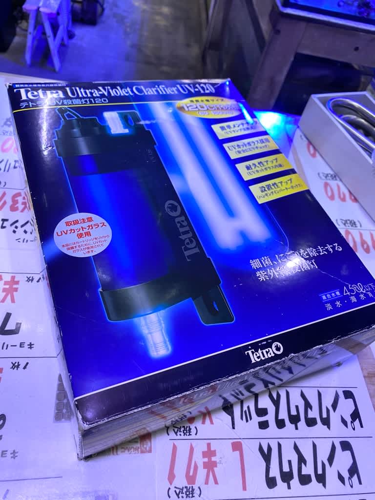 最新情報 テトラ Uv殺菌灯1 魚用品 水草 最新情報 テトラ Uv殺菌灯1 魚用品 水草