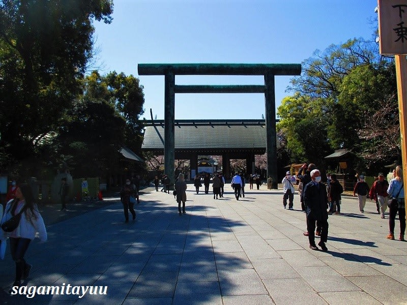 靖国神社の 桜の標本木 は今 満開となって 相模太夫の旅録 Tabi Log 靖国神社の 桜の標本木 は今 満開となって 相模太夫の旅録 Tabi Log