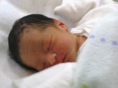 どっち いくえしれず どっち いくえしれず