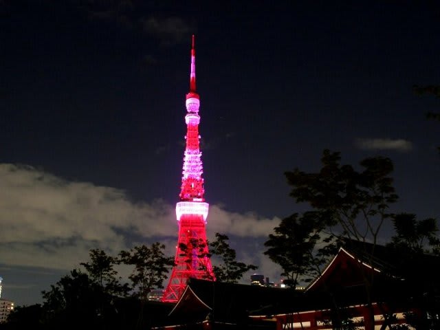 東京タワー ピンクリボン 夜景 千夜一夜