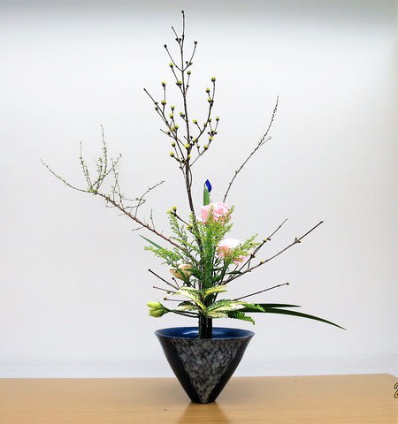 芽アジサイとポピー 自由花 池坊 花のあけちゃんブログ明田眞子 花の力は素晴らしい 広島で４０年 池坊いけばな 教室 熱心な方々と楽しく生けてます