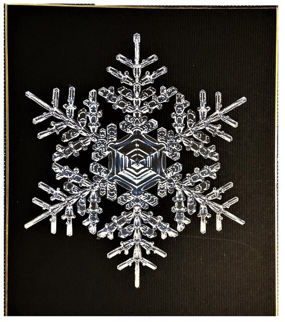 雪の結晶２ 切り絵 中色紙サイズ モーリの切り絵を楽しむ