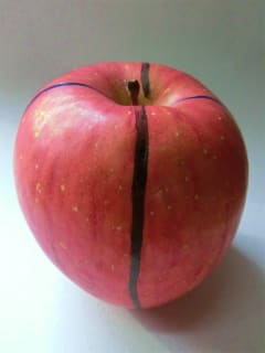 14年3月のカリキュラム 工作 画用紙で作る立体りんご じぶんバンザイ アトリエ ｋ絵画教室 Copyright C アトリエ ｋ All Rights Reserved