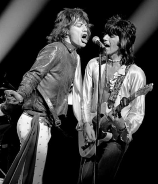 Dead Flowers／The Rolling Stones☆ GREAT LOVE KINGDOM
