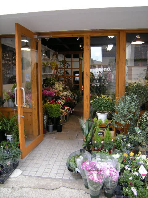 Onino 京都市山科区 お花屋さん 東部大阪麺 s倶楽部 Onino 京都市山科区 お花屋さん 東部大阪麺 s倶楽部