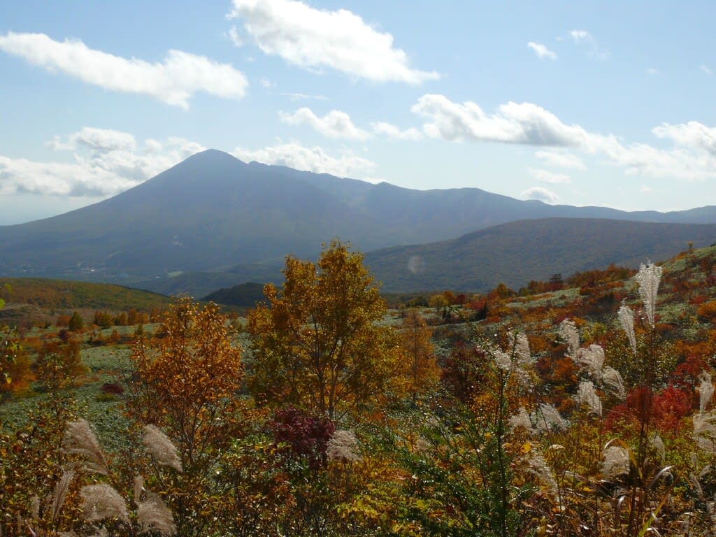 アスピーテライン 10 13 紅葉スポット2 みちのくの山野草