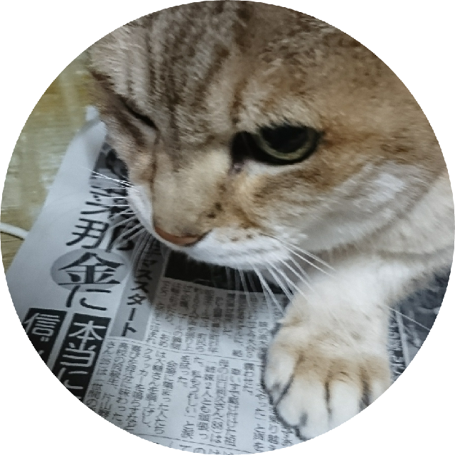 プロフィール画像