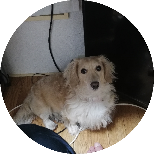 プロフィール画像