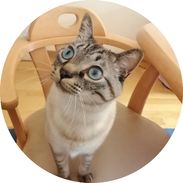 プロフィール画像