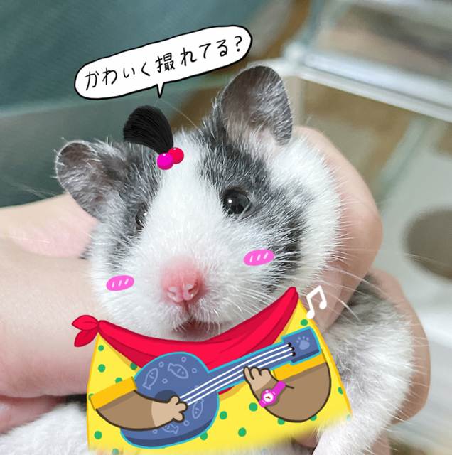 プロフィール画像