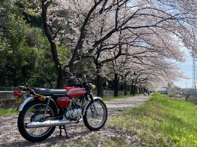 プロフィール画像