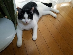 プロフィール画像
