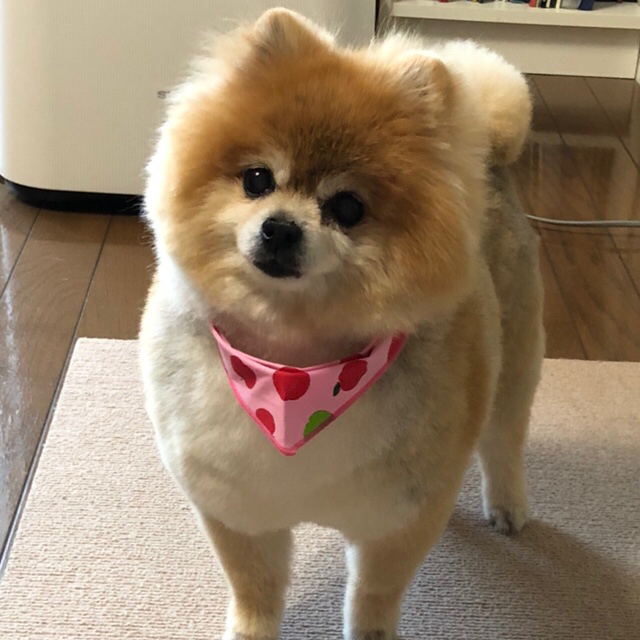 プロフィール画像