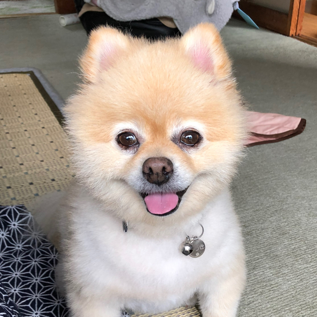 プロフィール画像