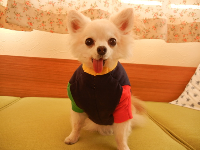 プロフィール画像
