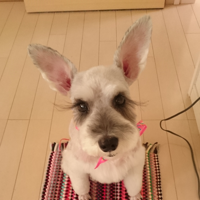 プロフィール画像