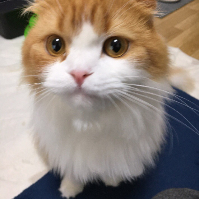 プロフィール画像