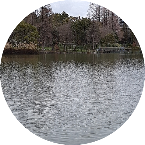 プロフィール画像
