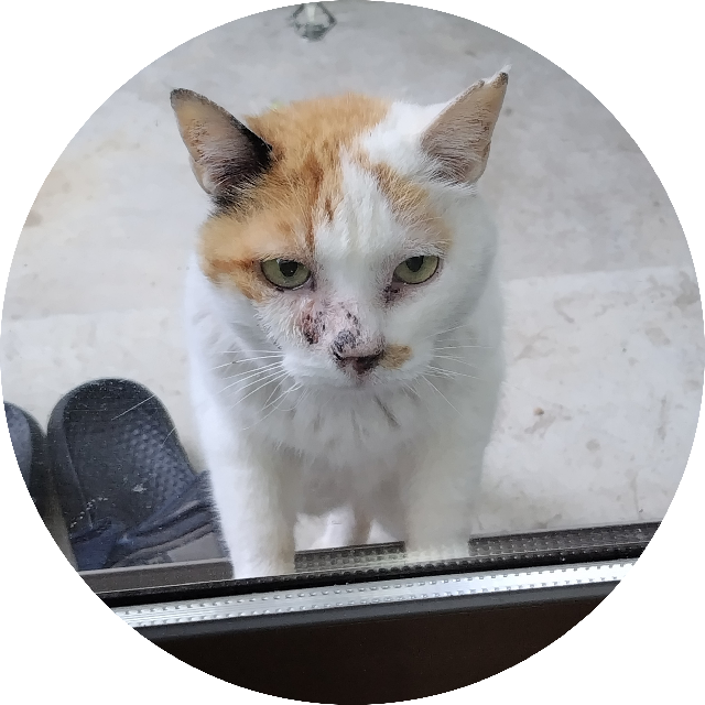 プロフィール画像