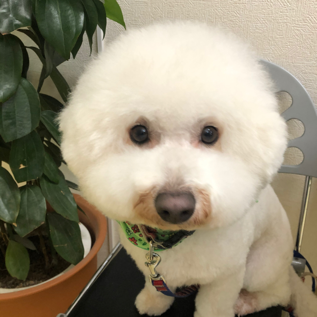 プロフィール画像