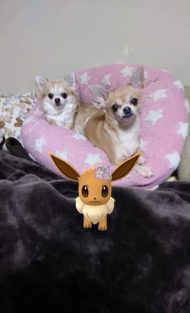 プロフィール画像