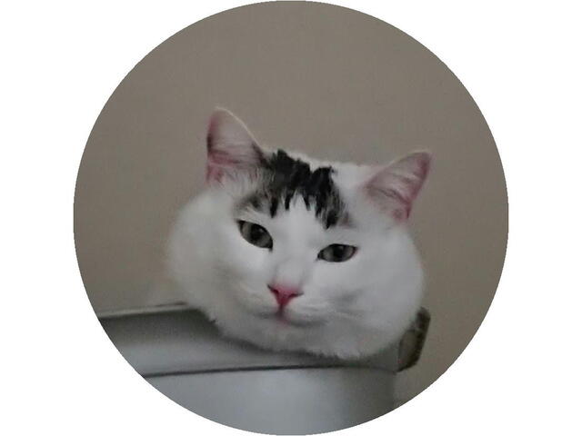 プロフィール画像