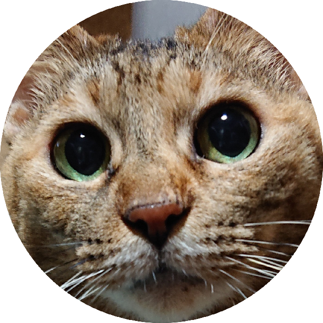 プロフィール画像