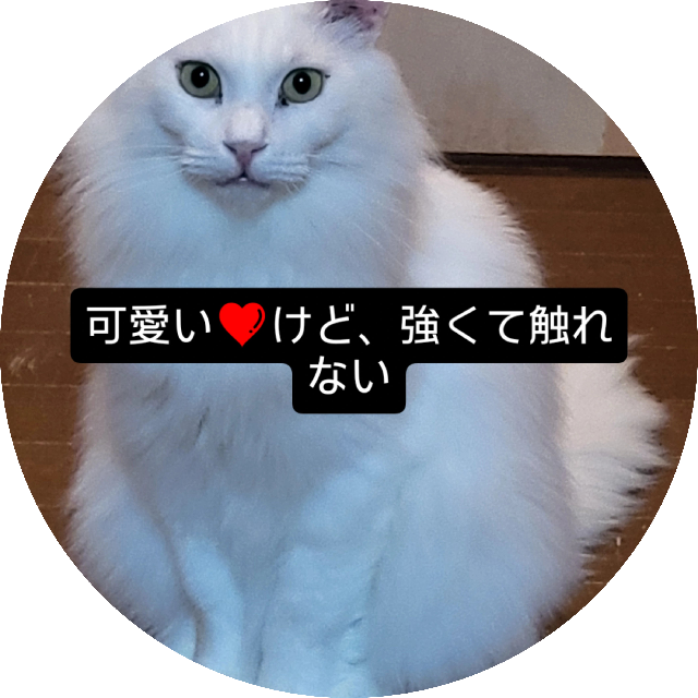 プロフィール画像