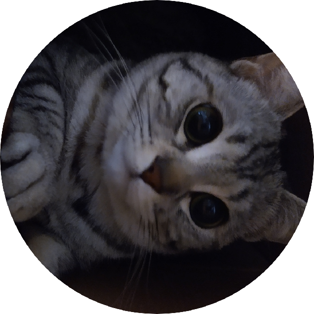 プロフィール画像