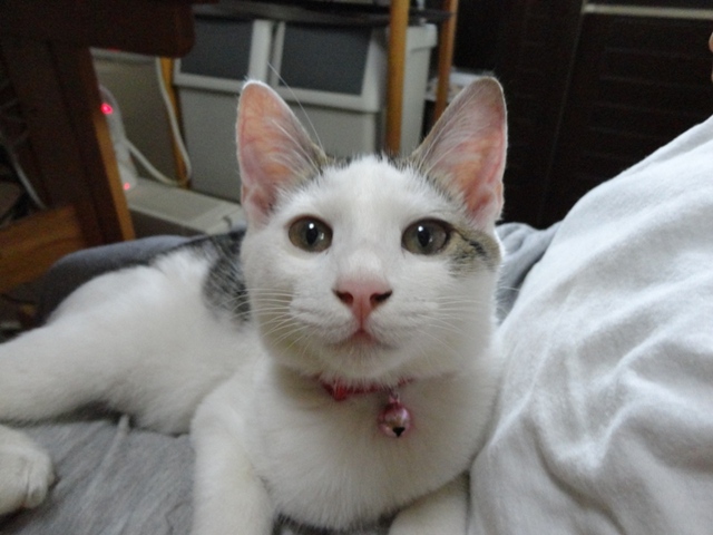 プロフィール画像