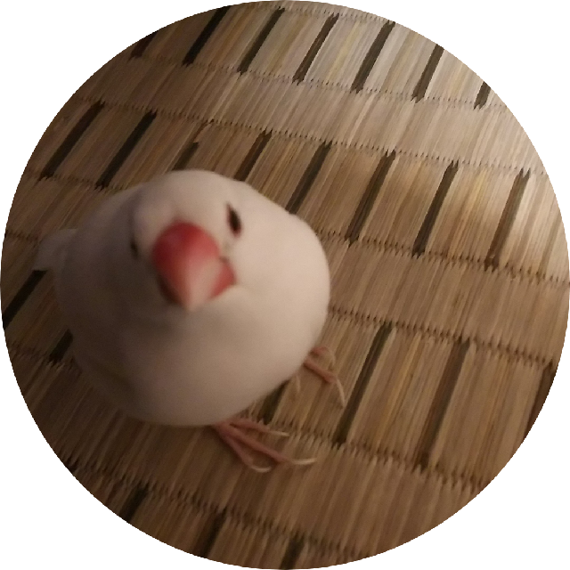 プロフィール画像