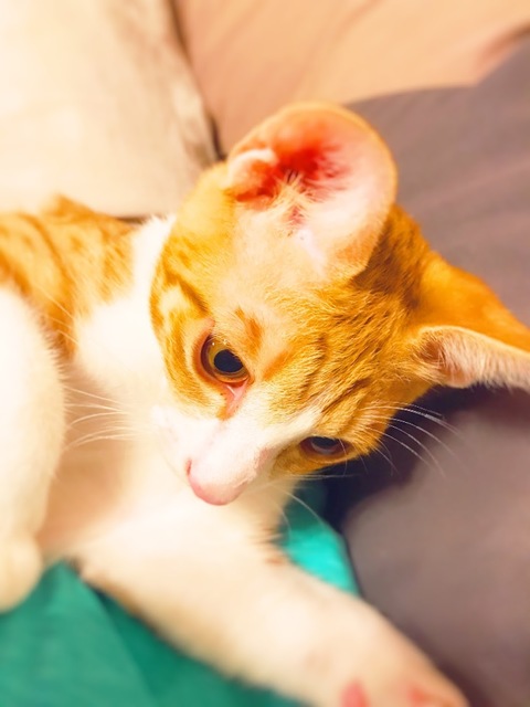 プロフィール画像