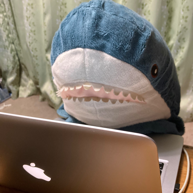 プロフィール画像