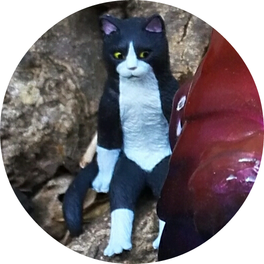 プロフィール画像