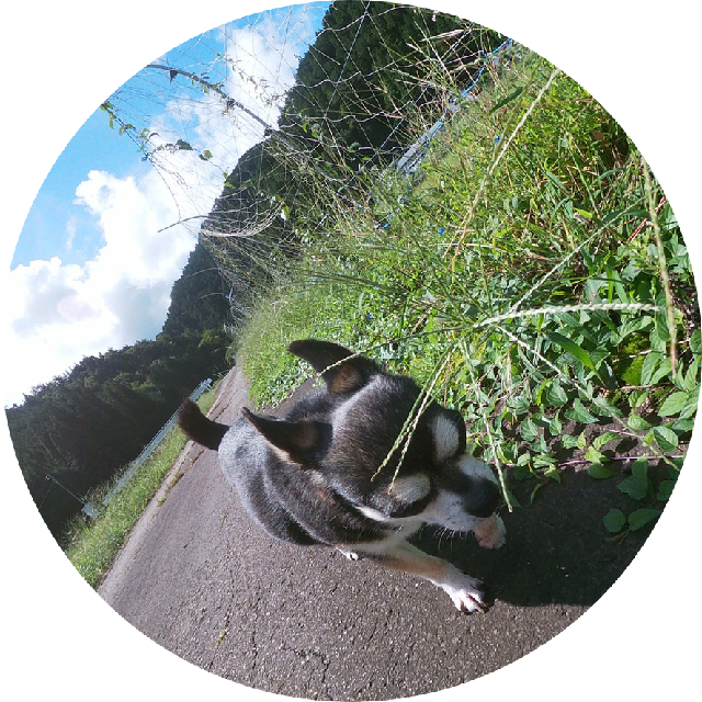 プロフィール画像