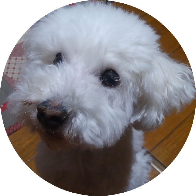 プロフィール画像