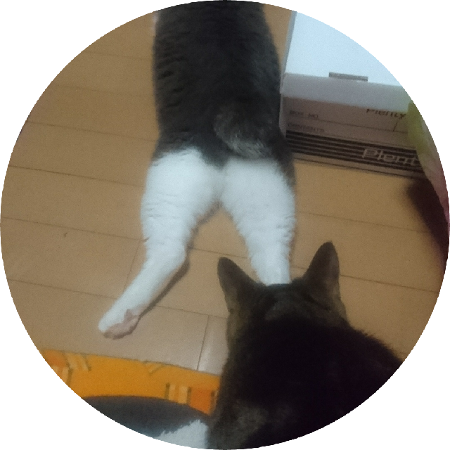プロフィール画像