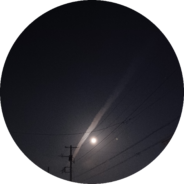 プロフィール画像