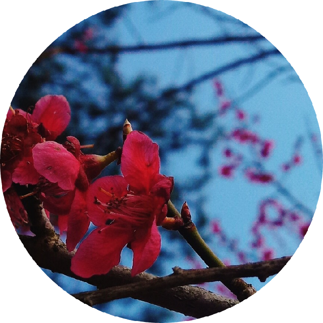 プロフィール画像